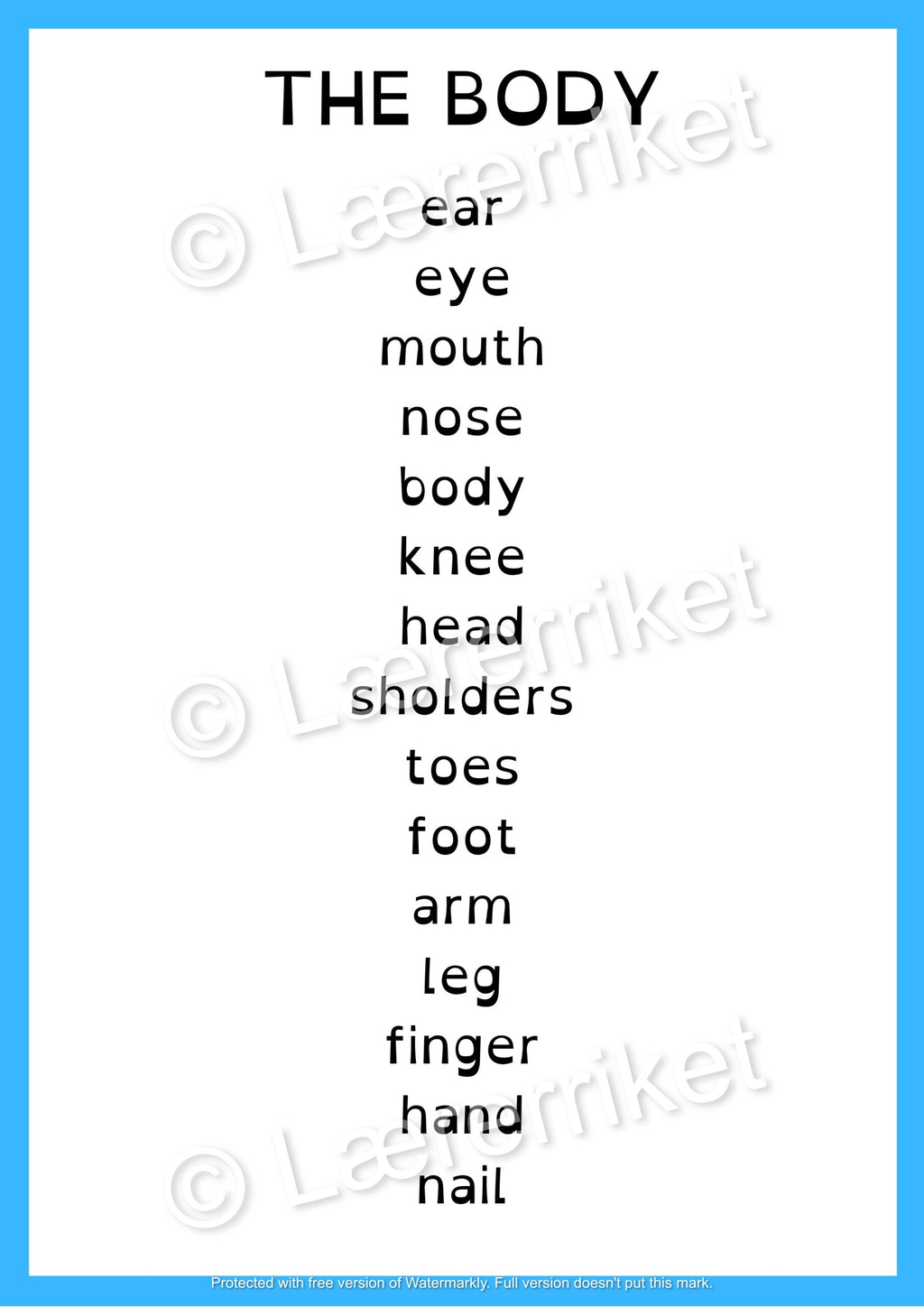 Flashcards - The body