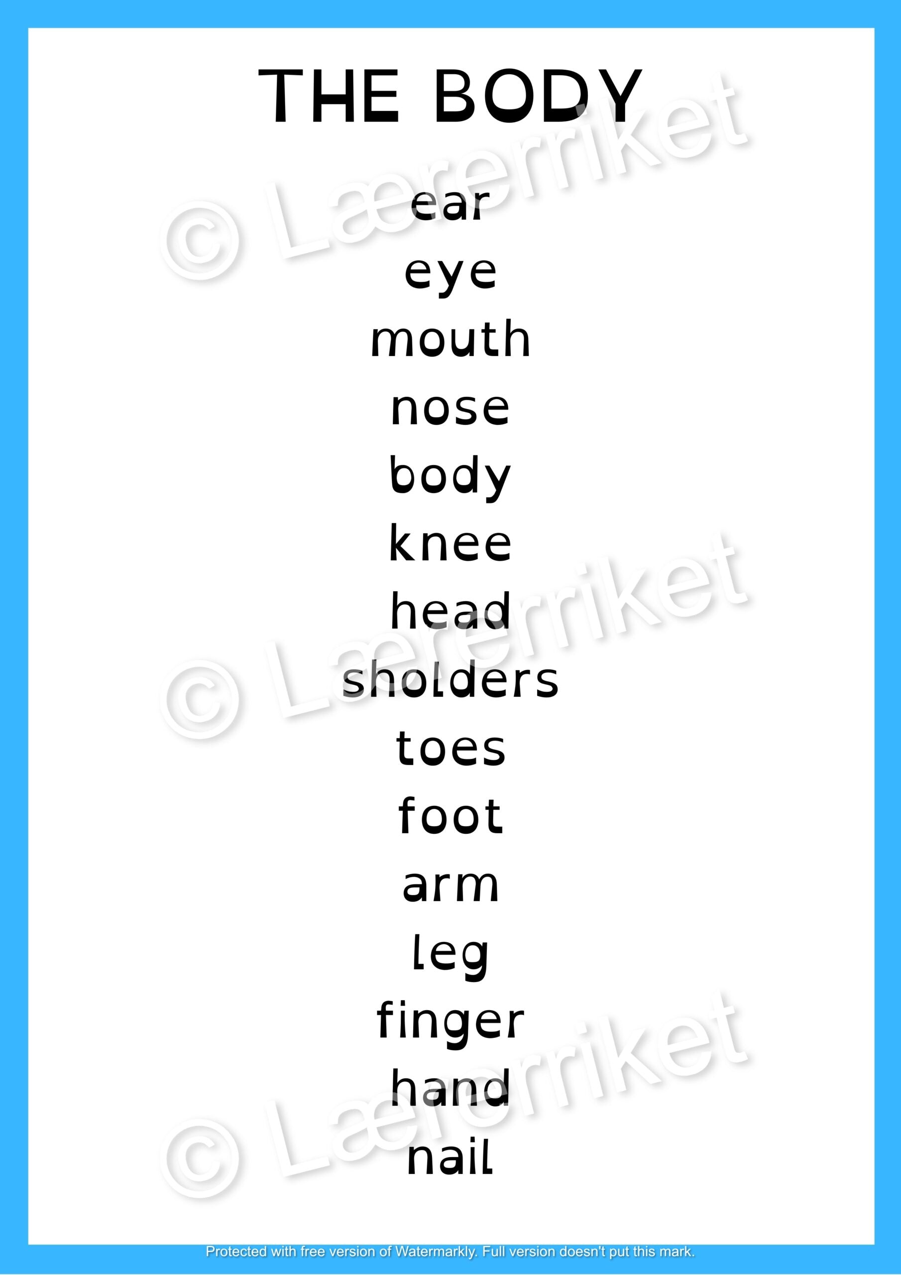 Flashcards - The body