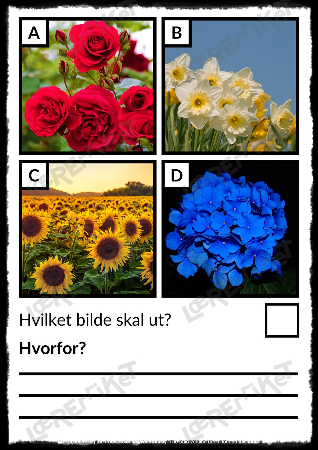 Hvilken skal ut? - Øving i argumentasjon