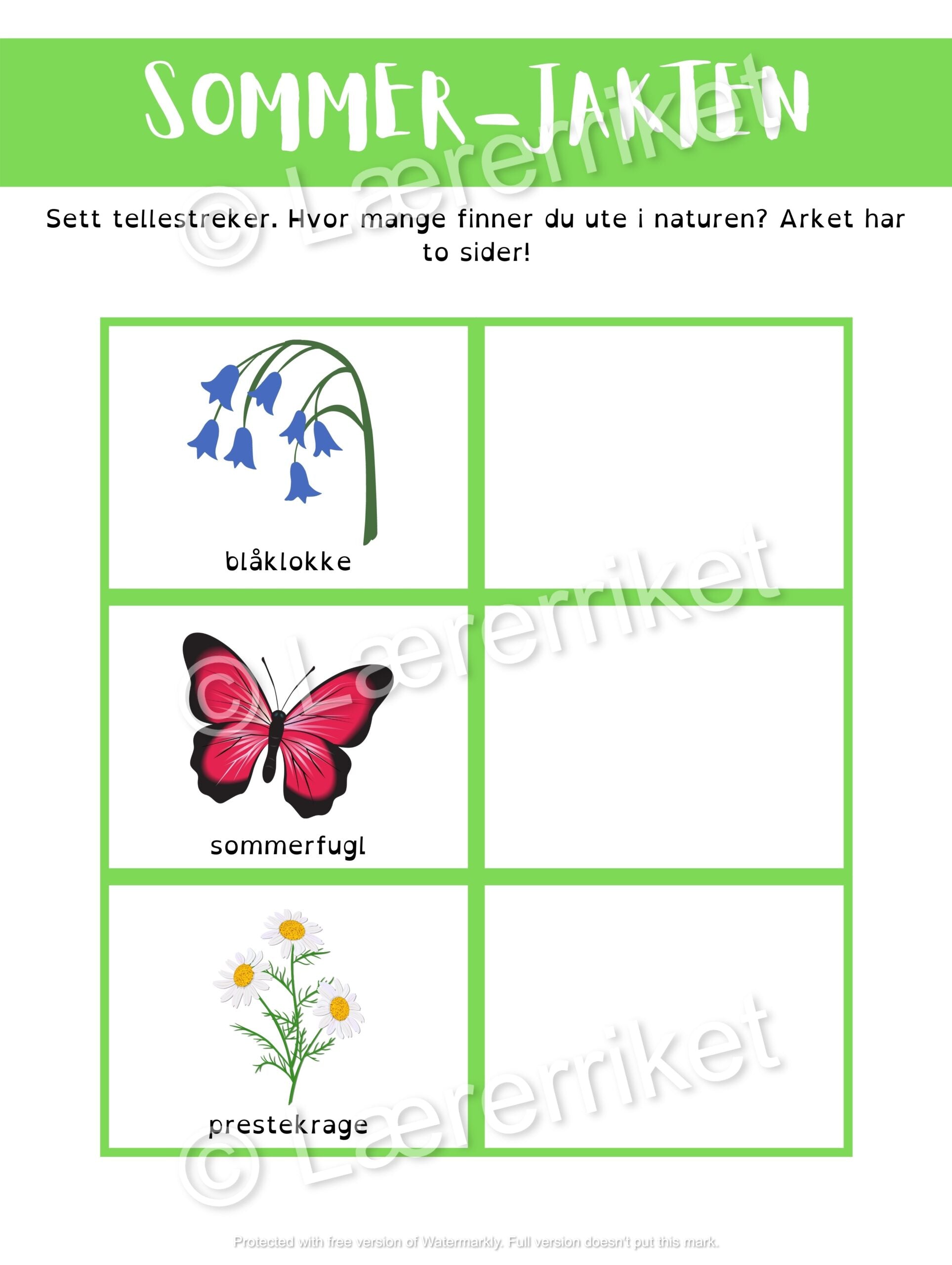 Ute-jakten