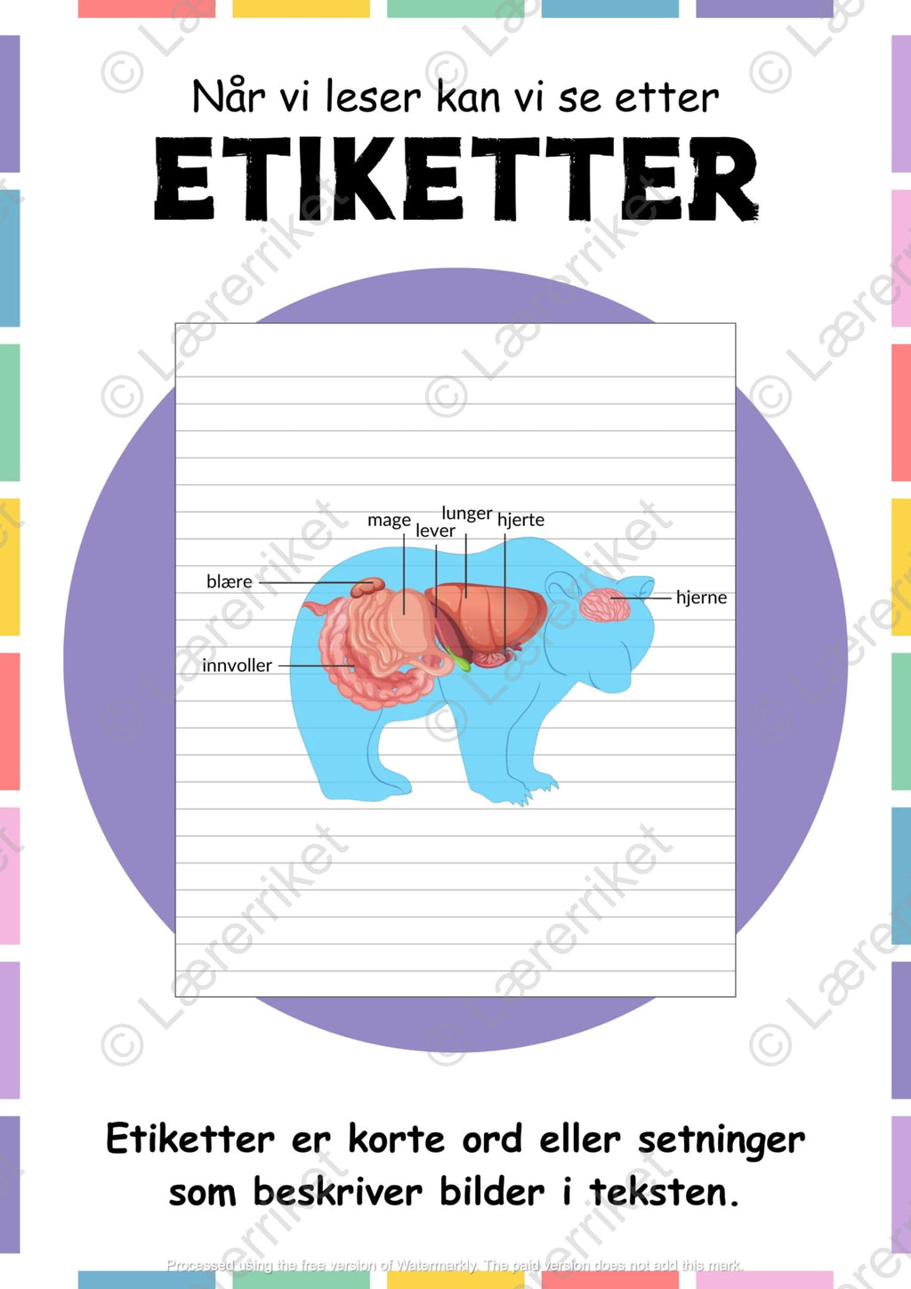 Tekstelementer lesestrategier