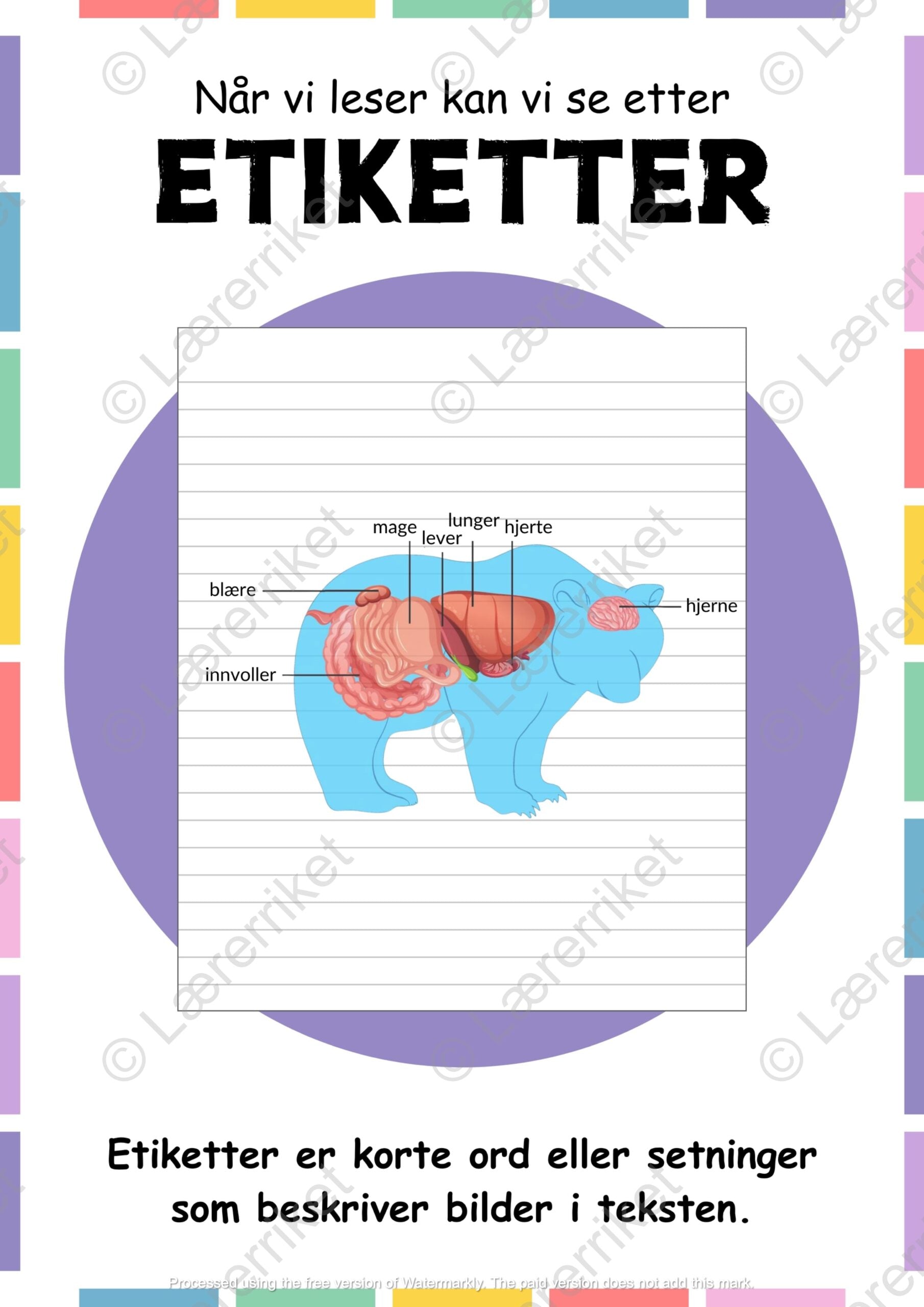 Tekstelementer lesestrategier