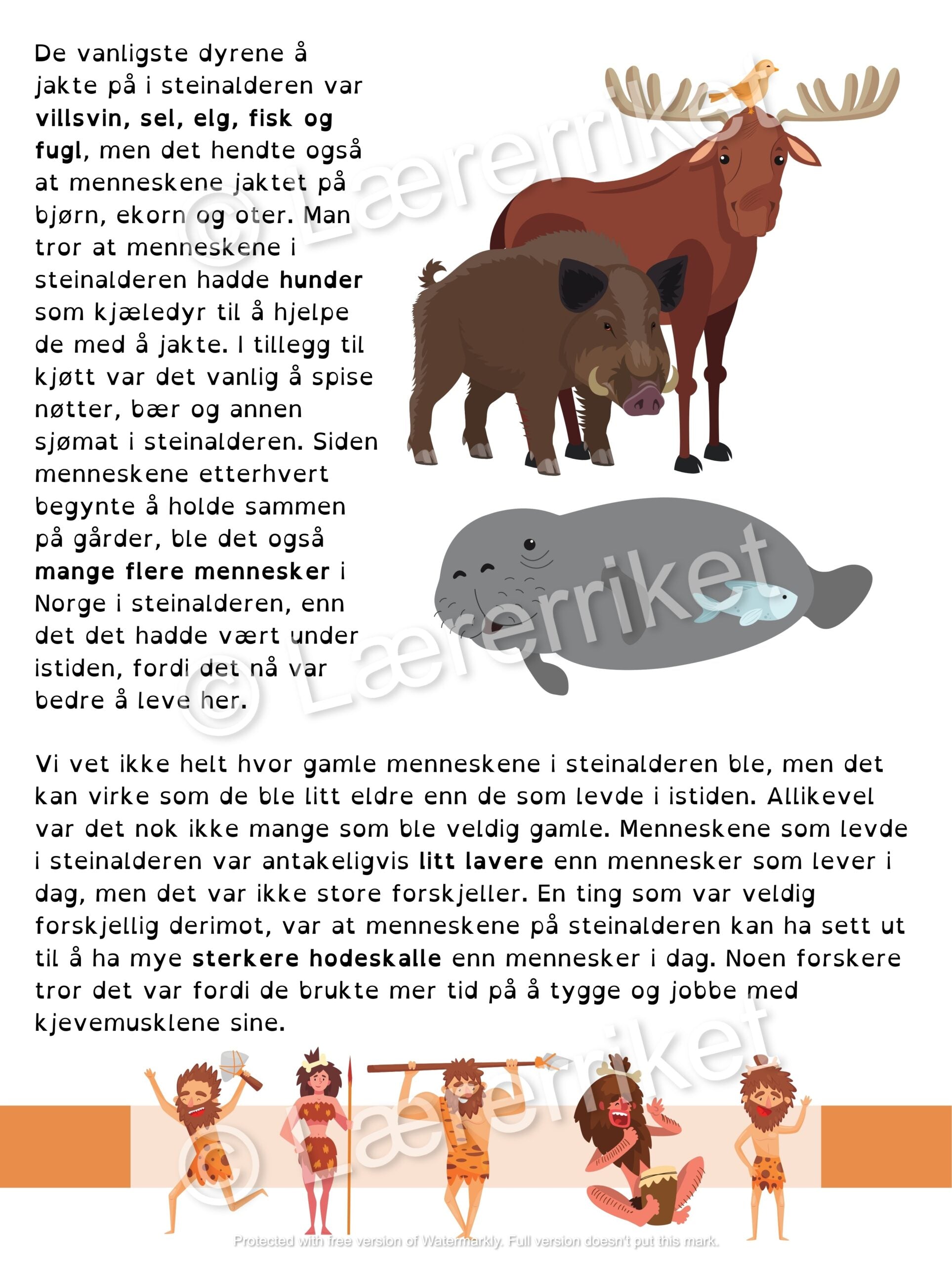 Steinalderen
