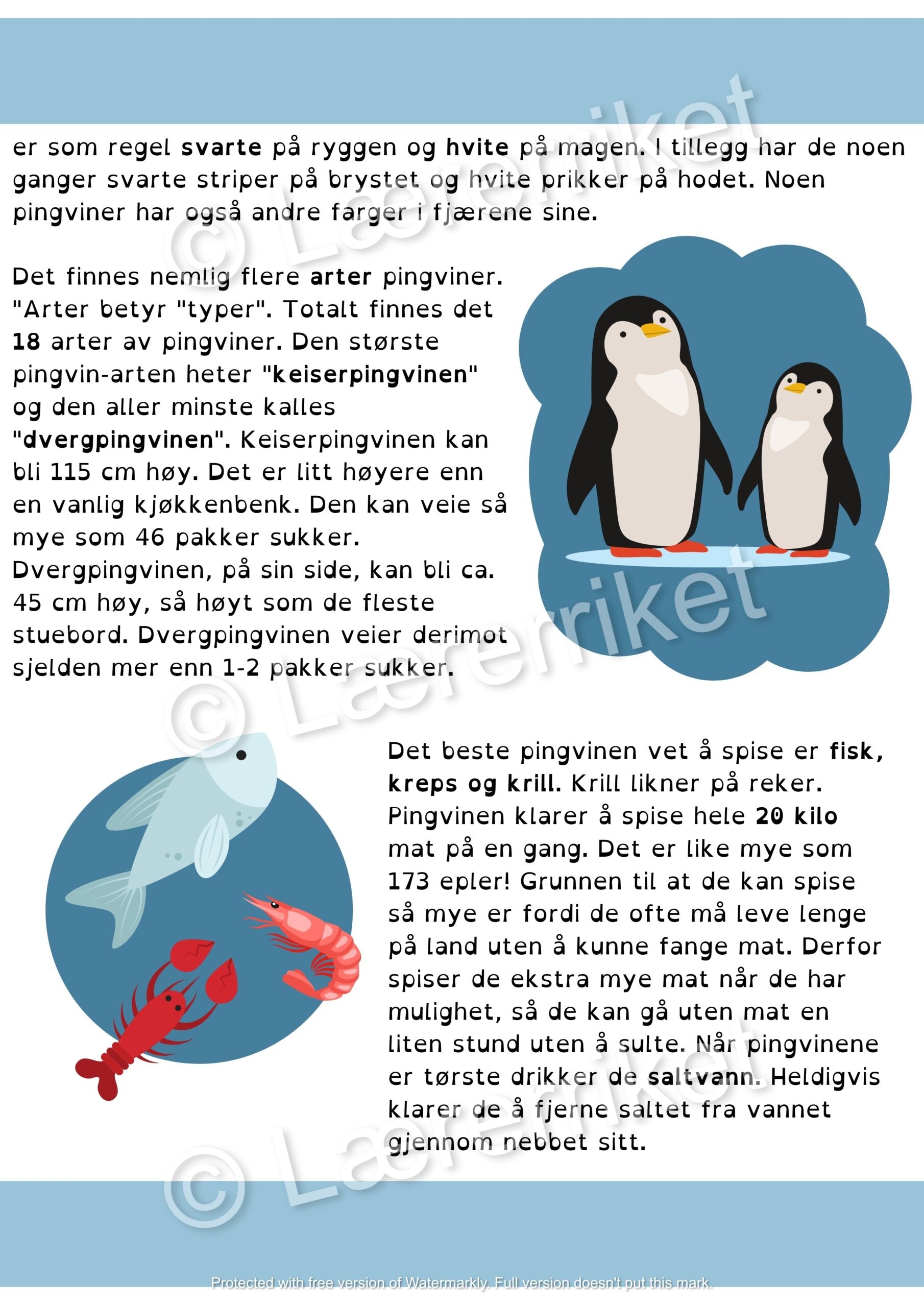 Pingviner - faktatekst