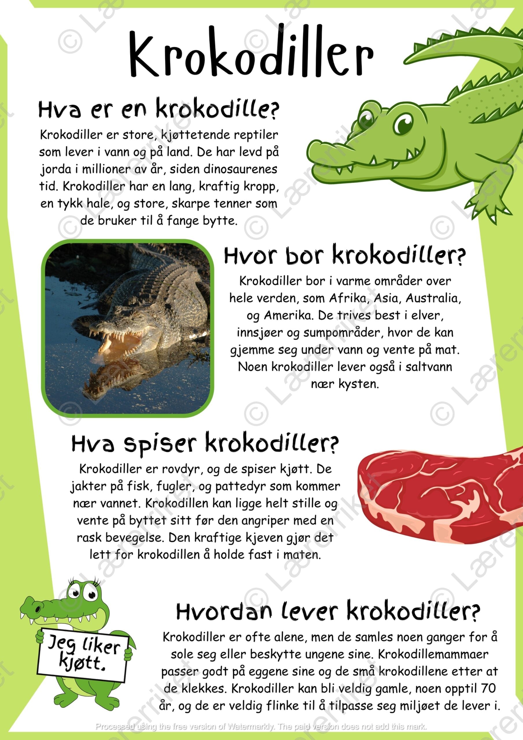 Tekstelementer lesestrategier