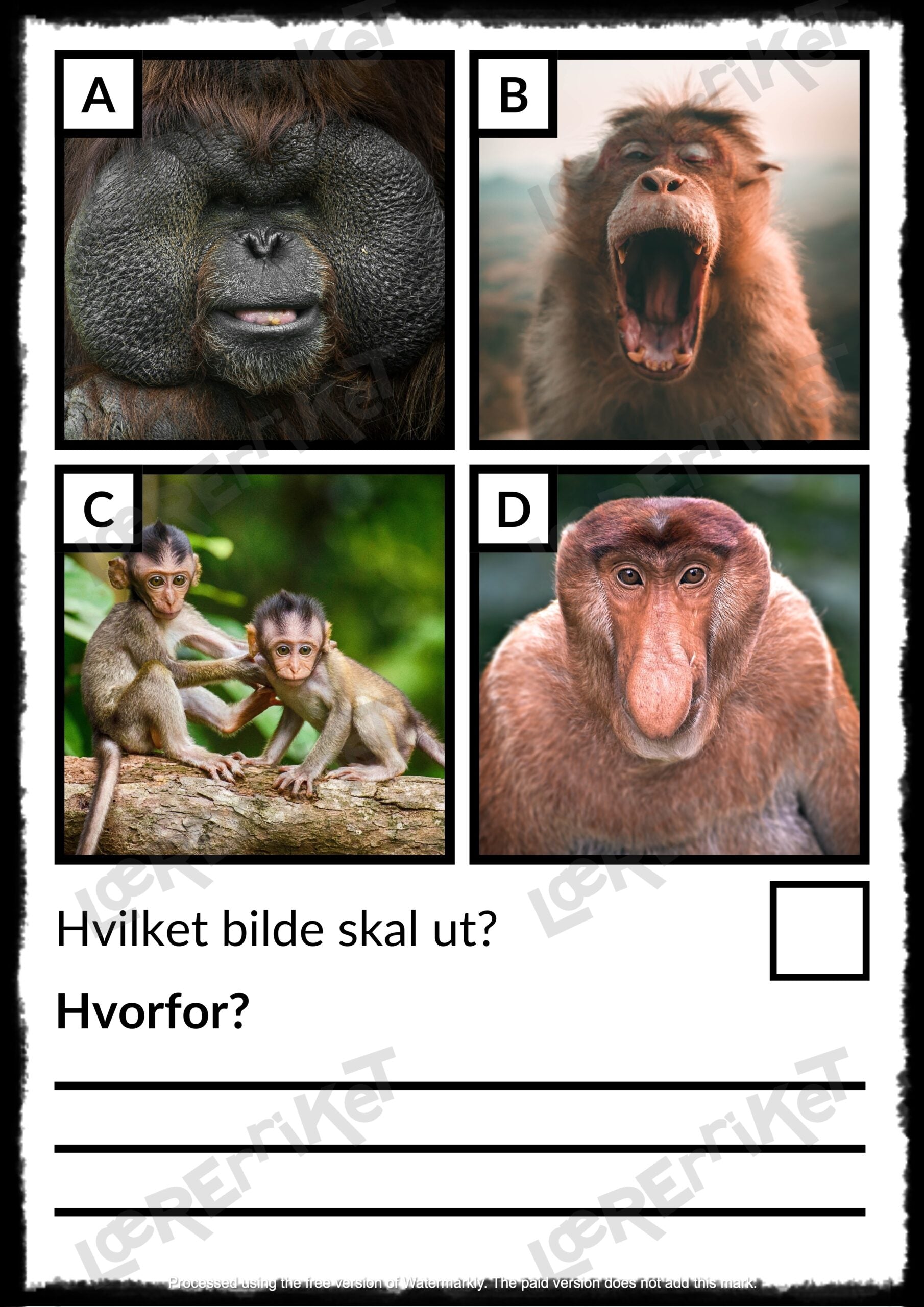 Hvilken skal ut? - Øving i argumentasjon