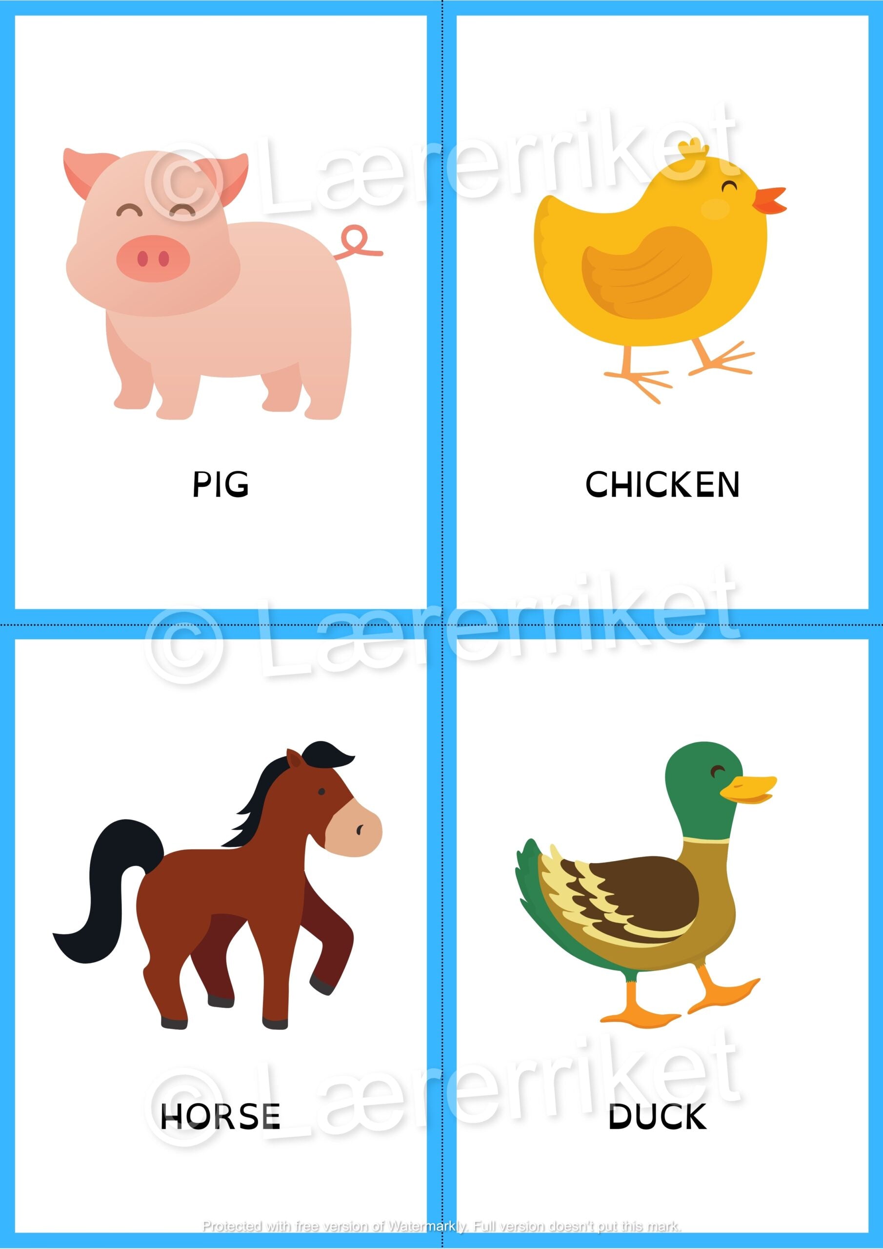Ordbok engelsk - Animals