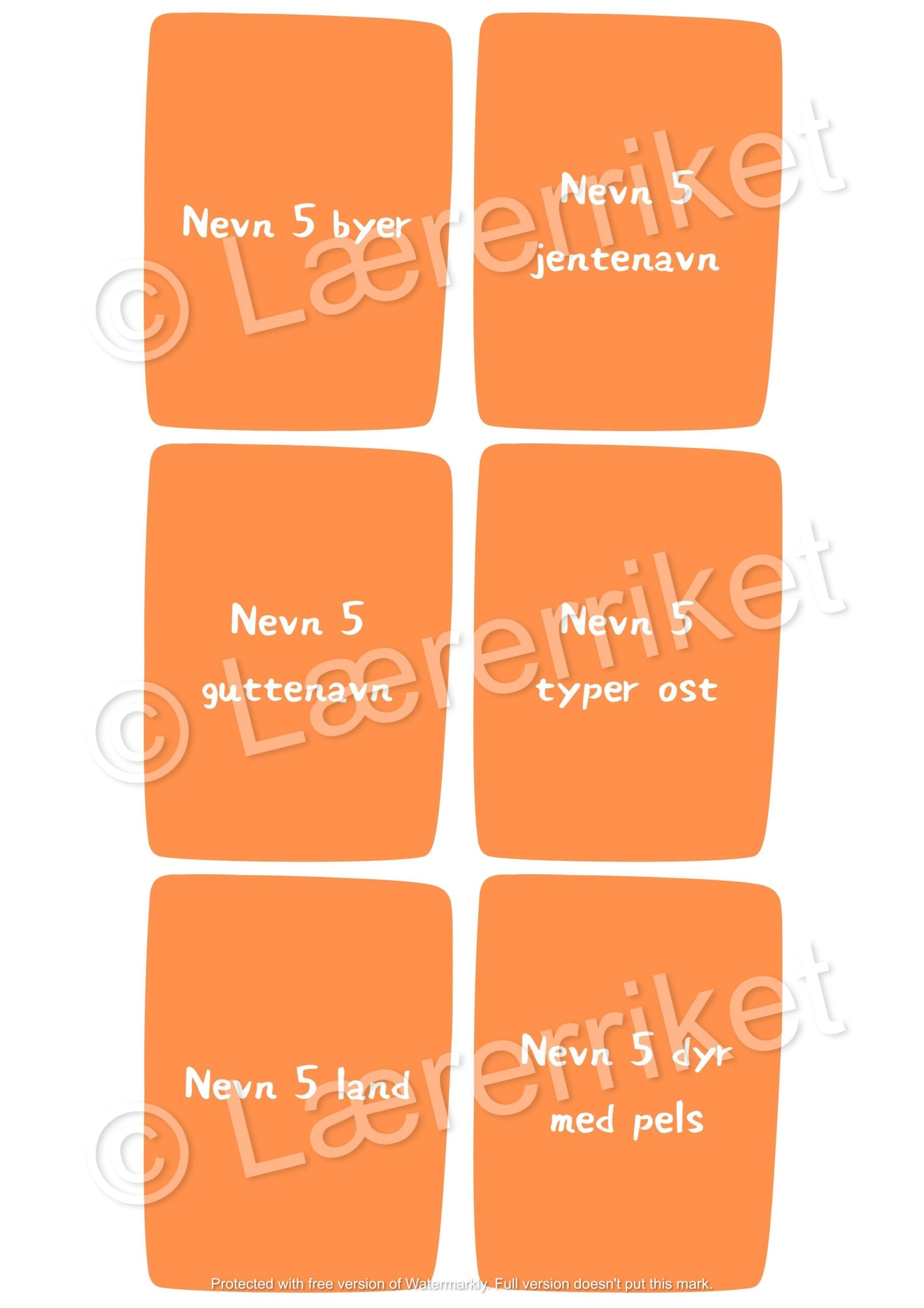 Nevn 5 - begrepsspill