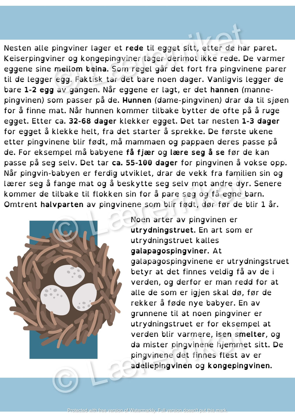 Pingviner - faktatekst