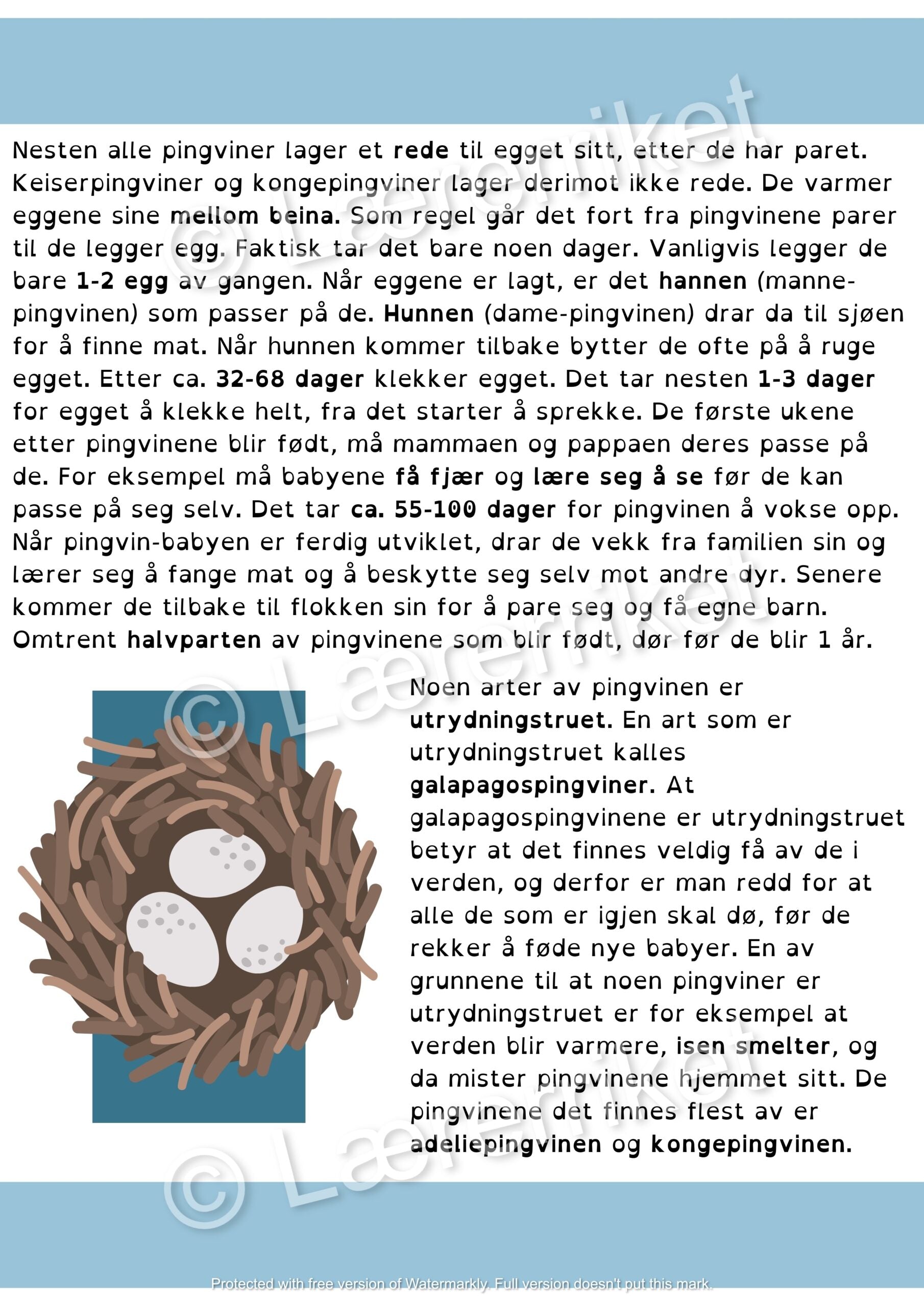 Pingviner - faktatekst