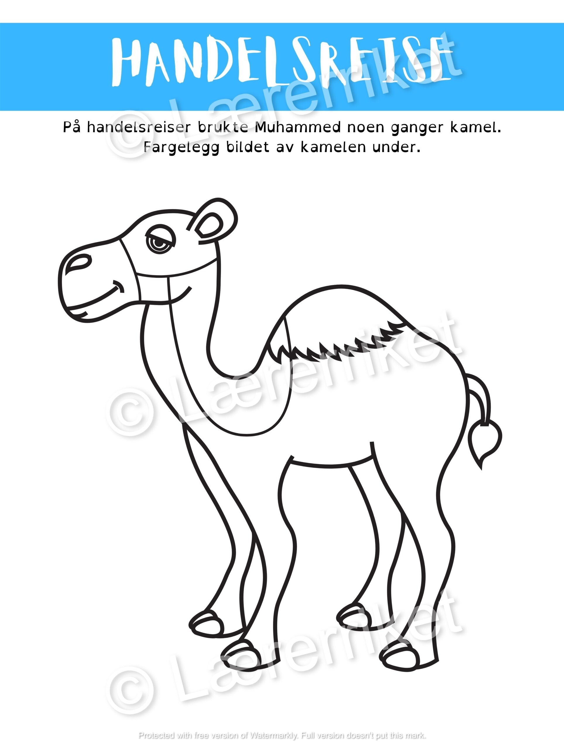 Islam - introduksjon