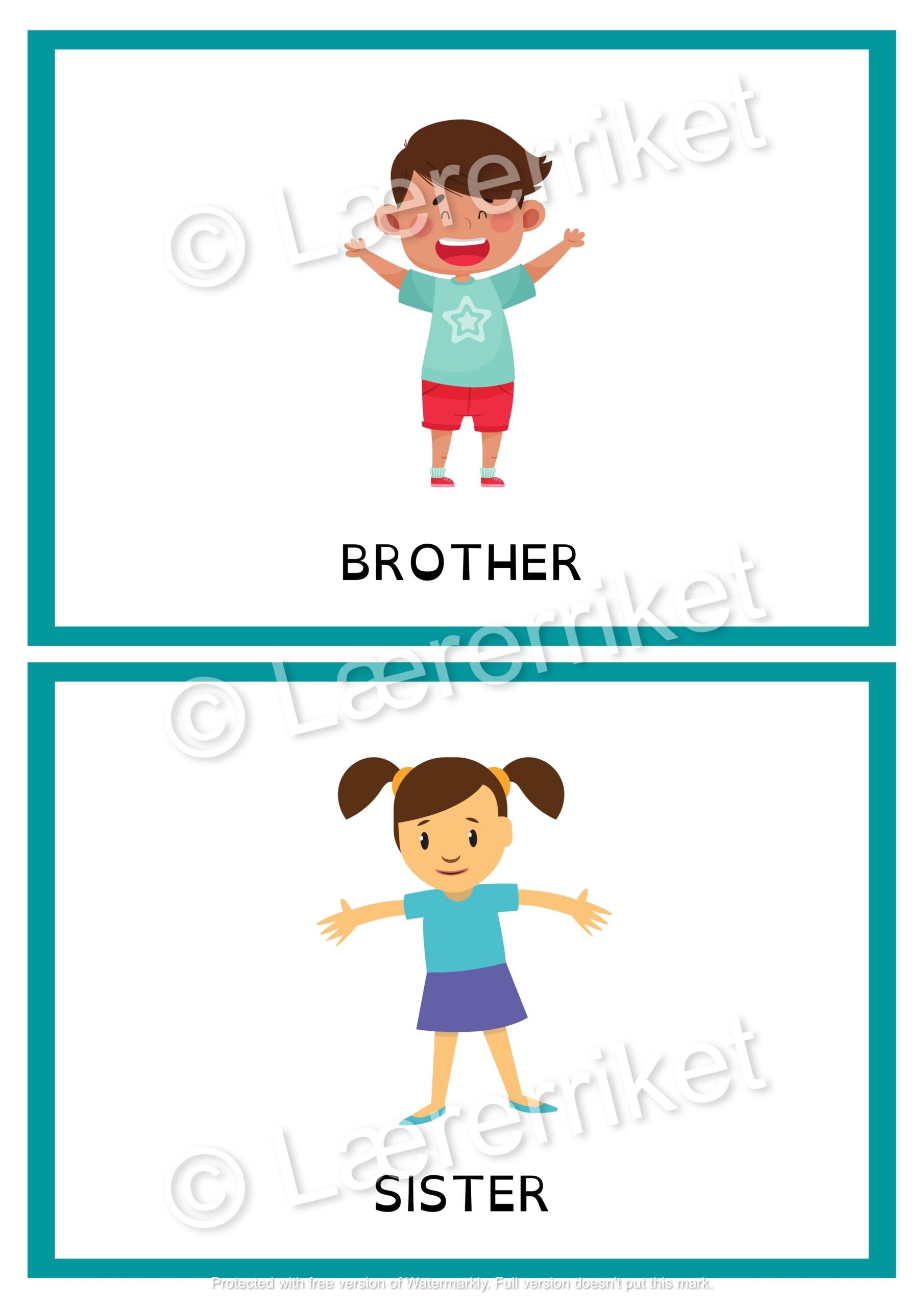 Flashcards - Family