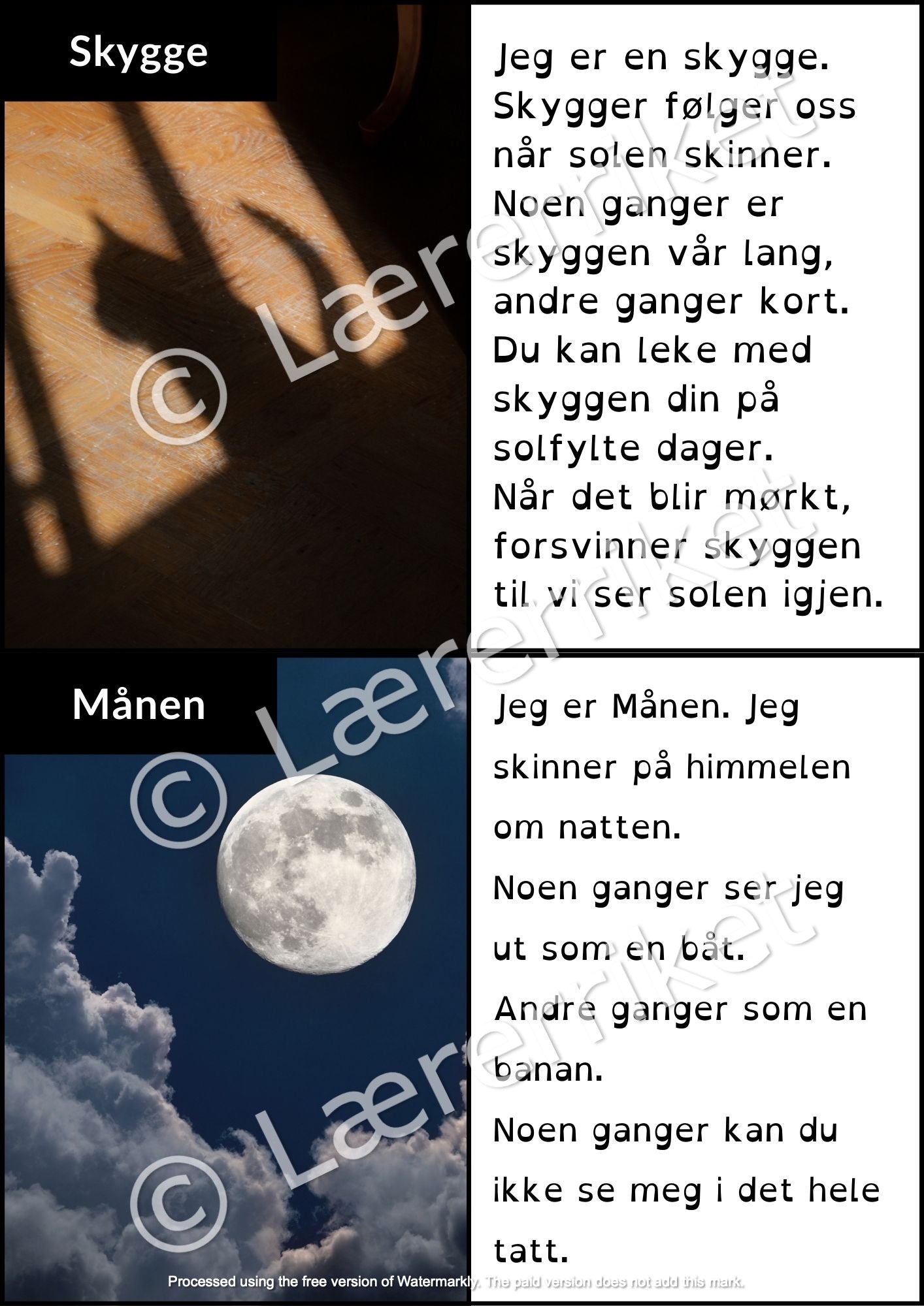 Fleip eller fakta - Test elevenes leseforståelse og faktakunnskaper