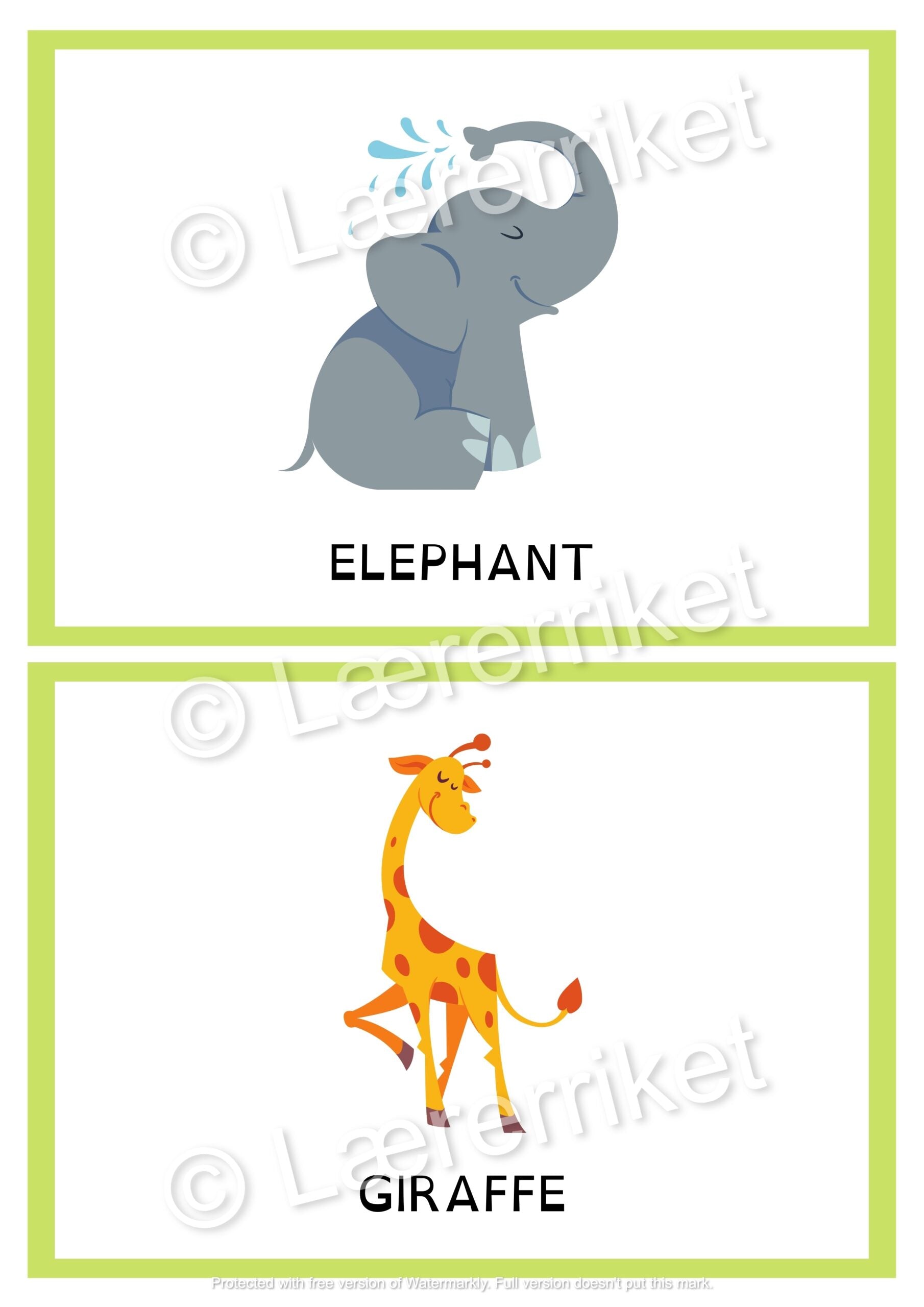 Flashcards - Animals