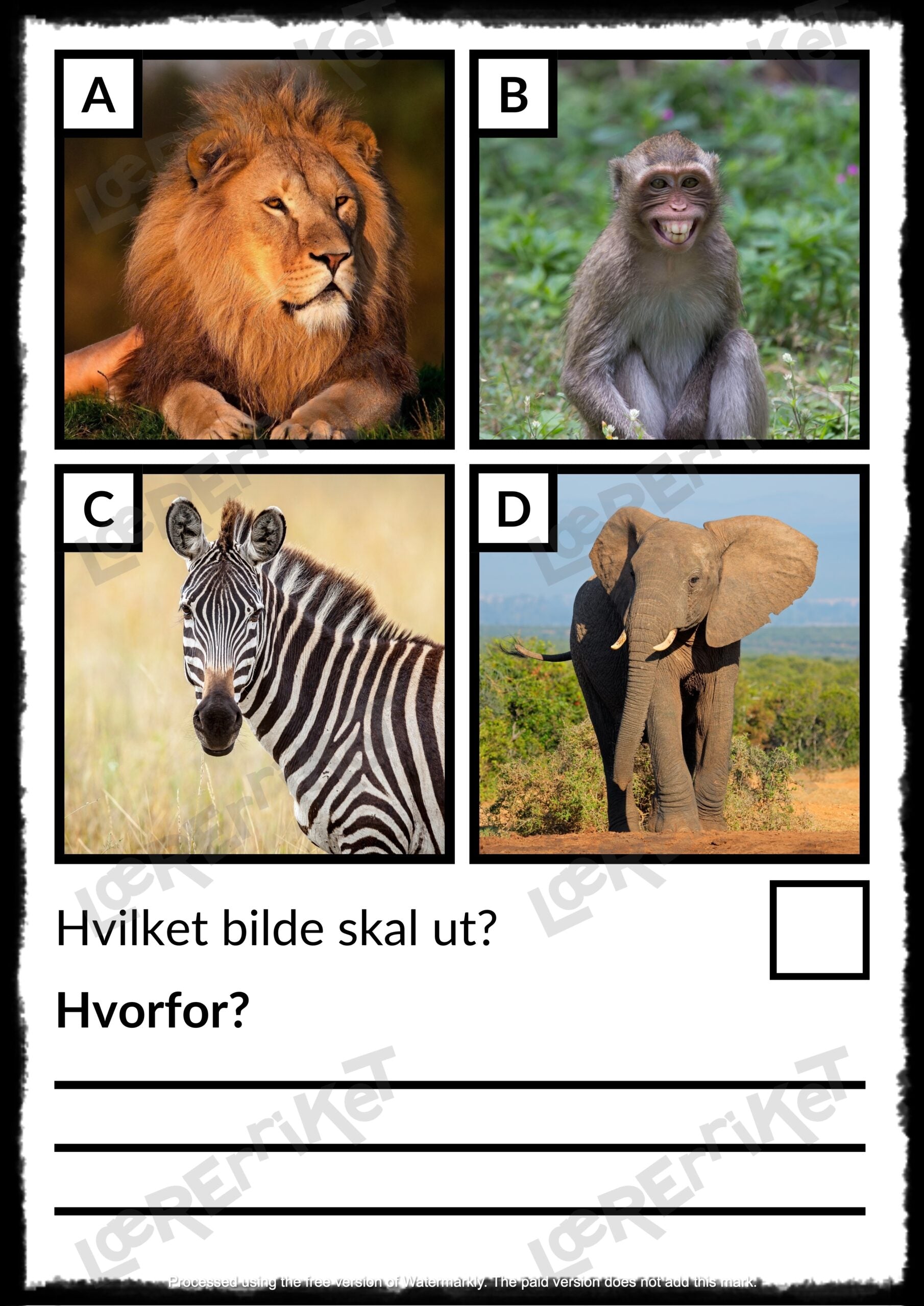 Hvilken skal ut? - Øving i argumentasjon