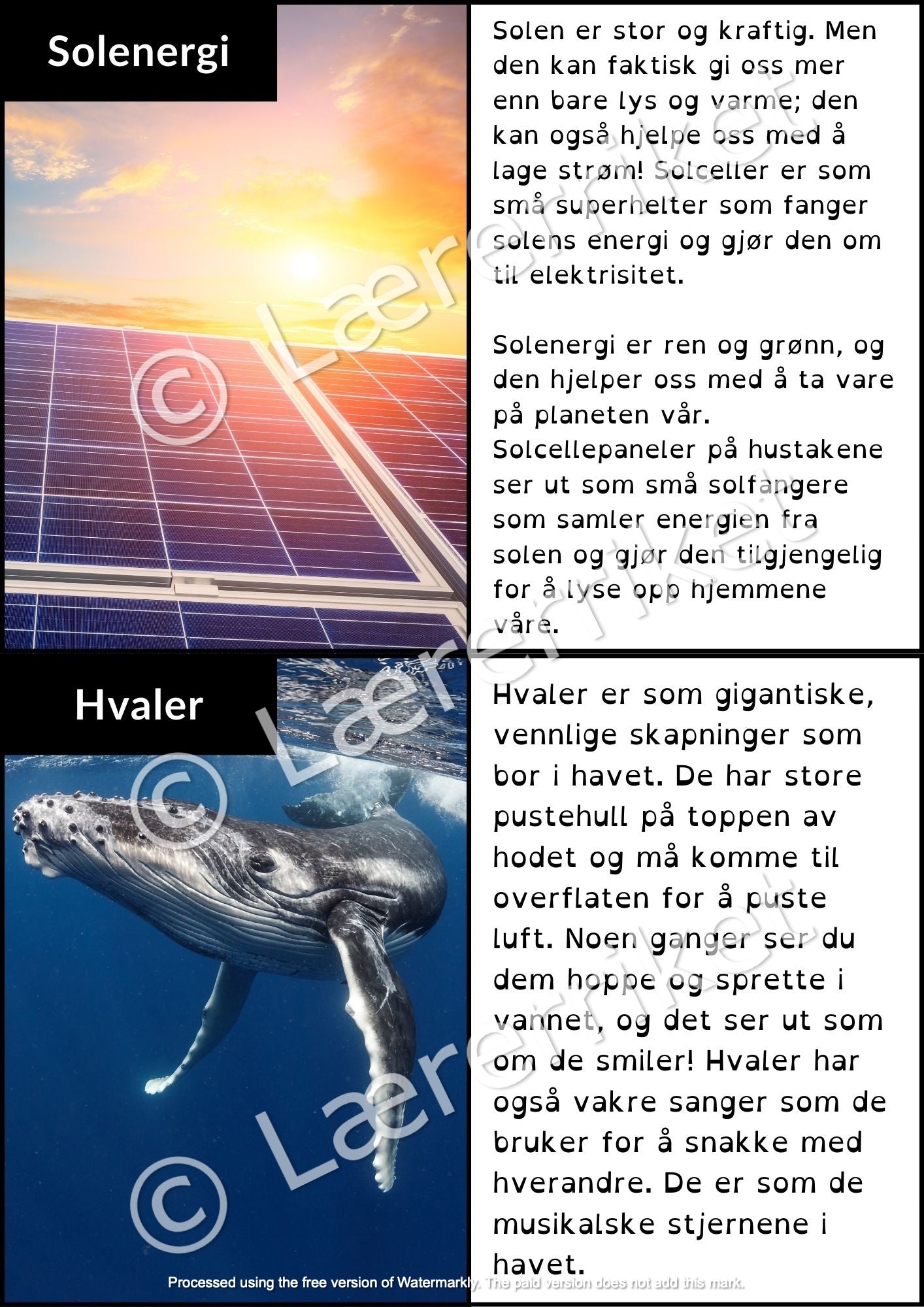 Fleip eller fakta - Test elevenes leseforståelse og faktakunnskaper
