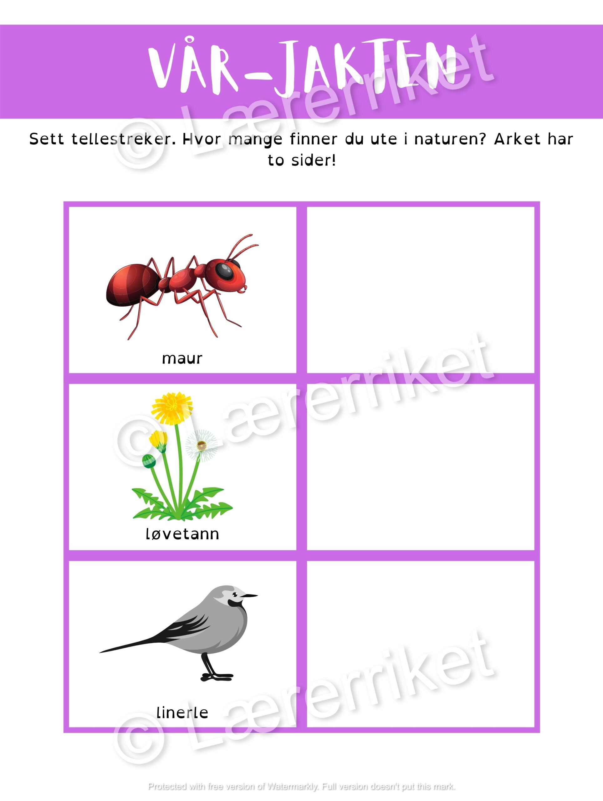 Ute-jakten