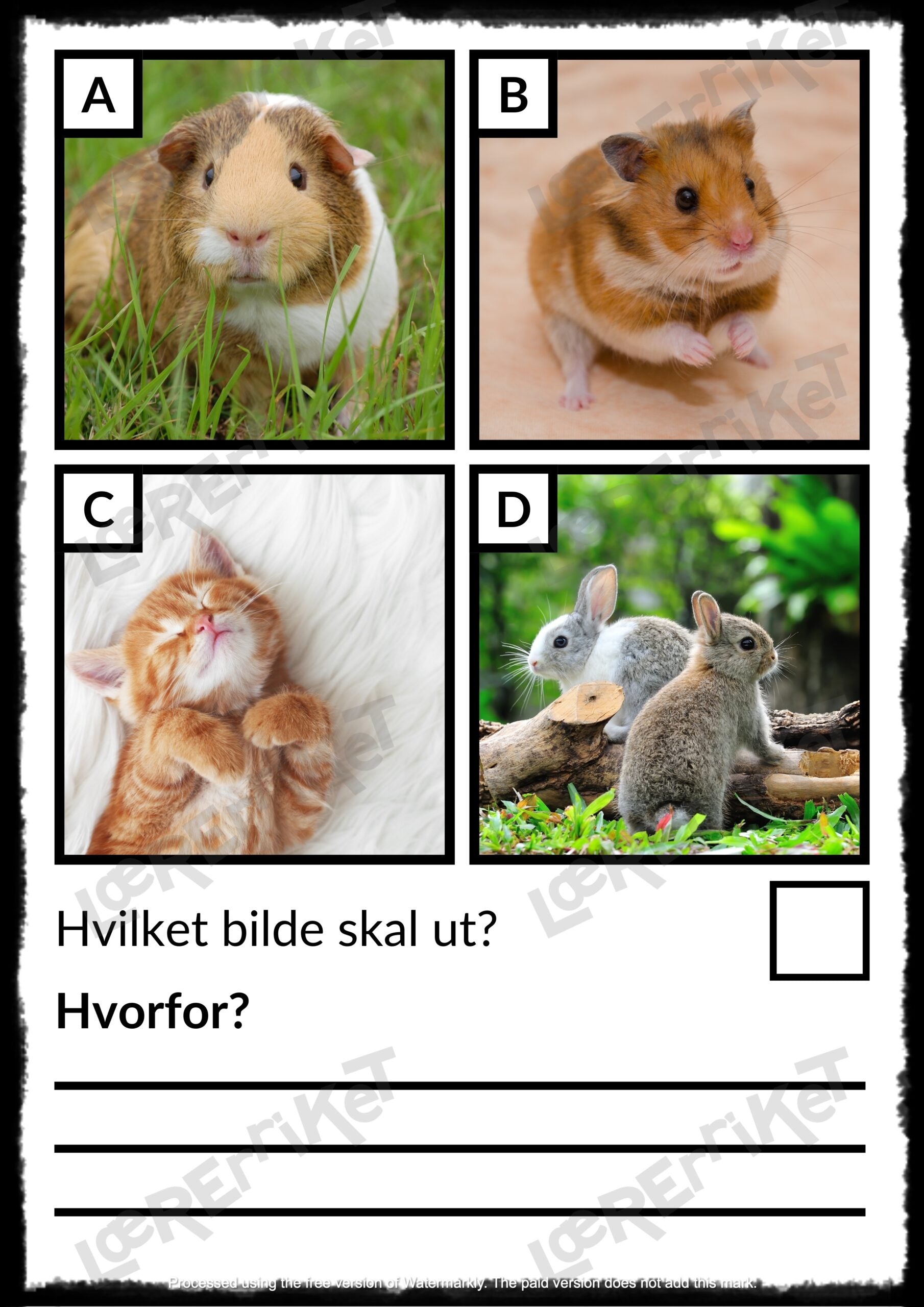 Hvilken skal ut? - Øving i argumentasjon