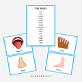 Flashcards - The body