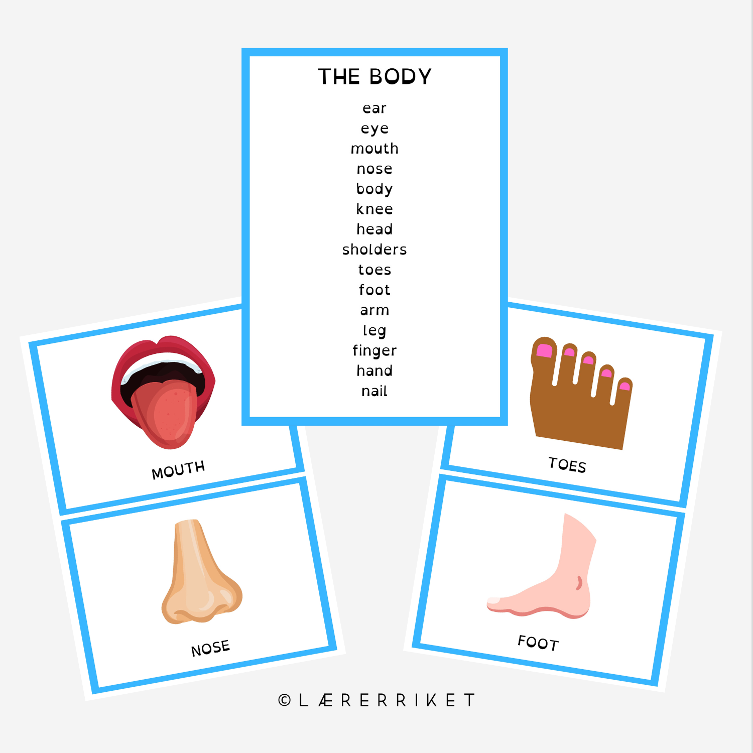 Flashcards - The body