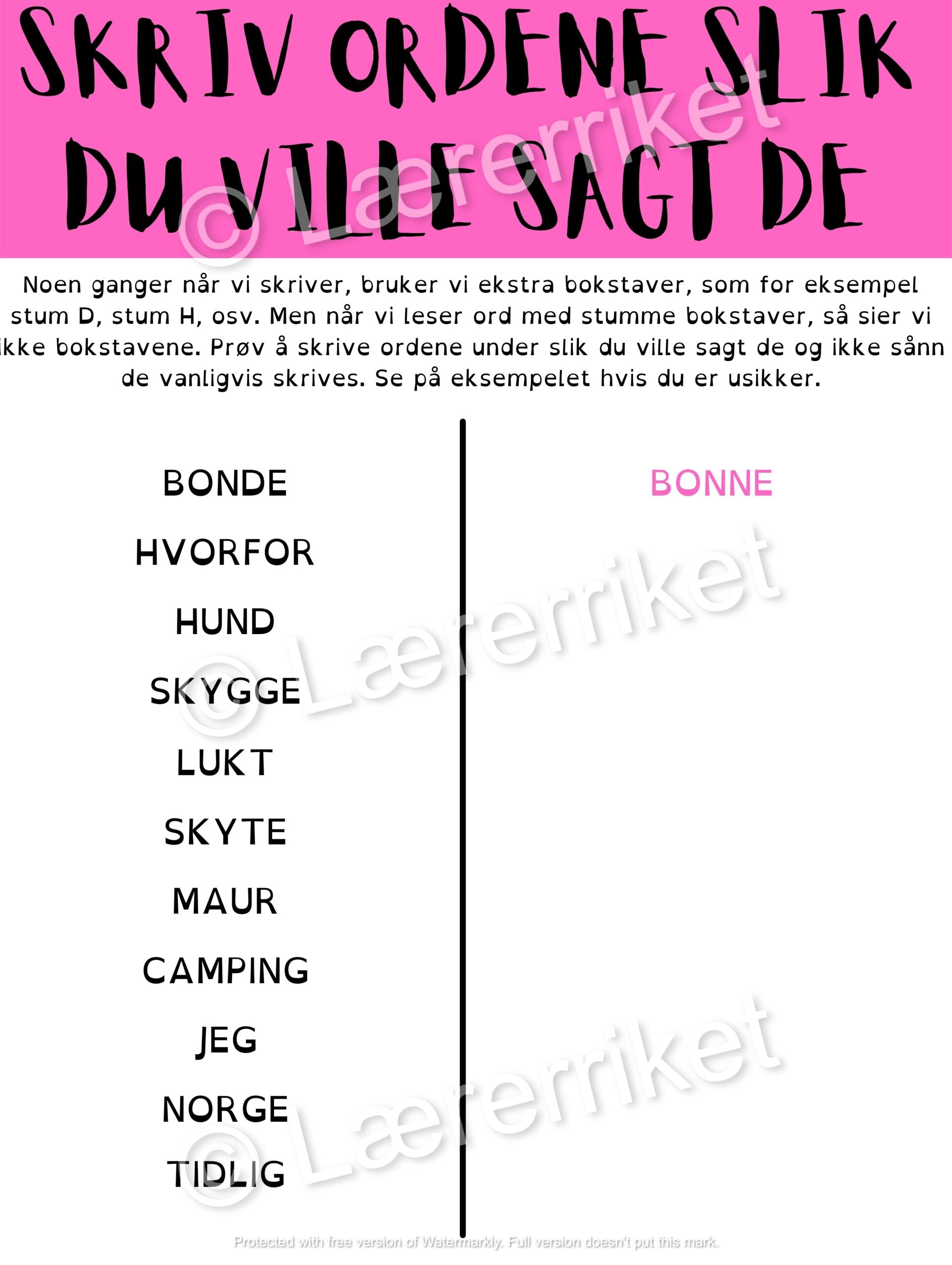 Ikke-lydrette ord