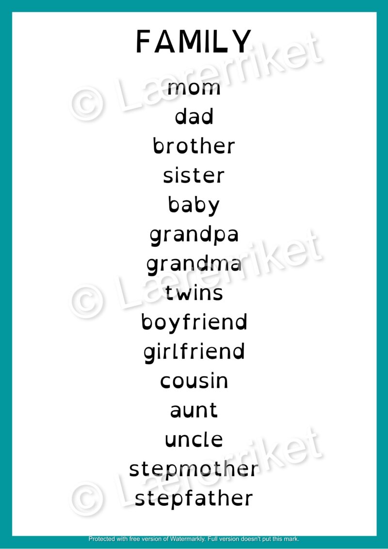 Flashcards - Family - Image 2