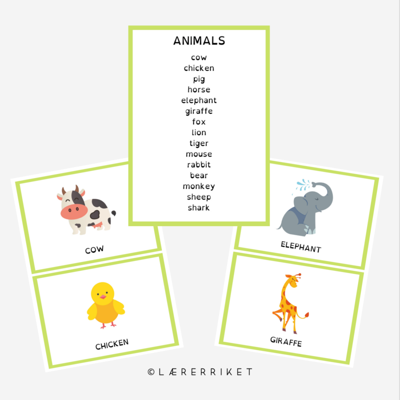 Flashcards - Animals