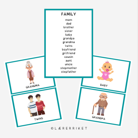 Flashcards - Family