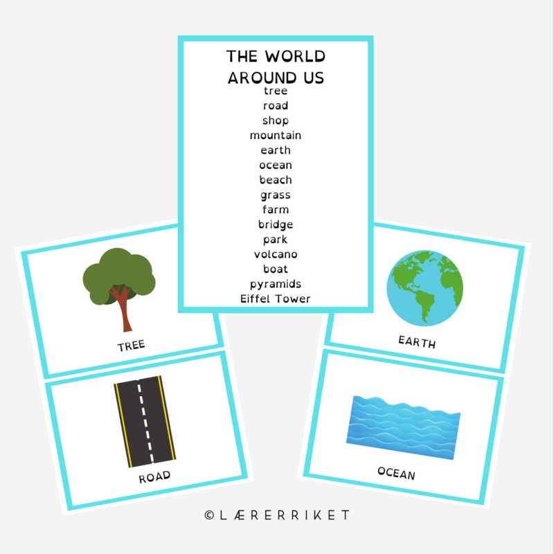 Flashcards - The world around us