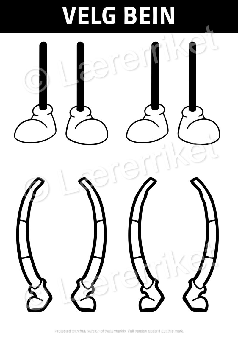 Partall og oddetall - sortering - Image 6